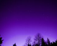 Lumi Onlyfans pictures